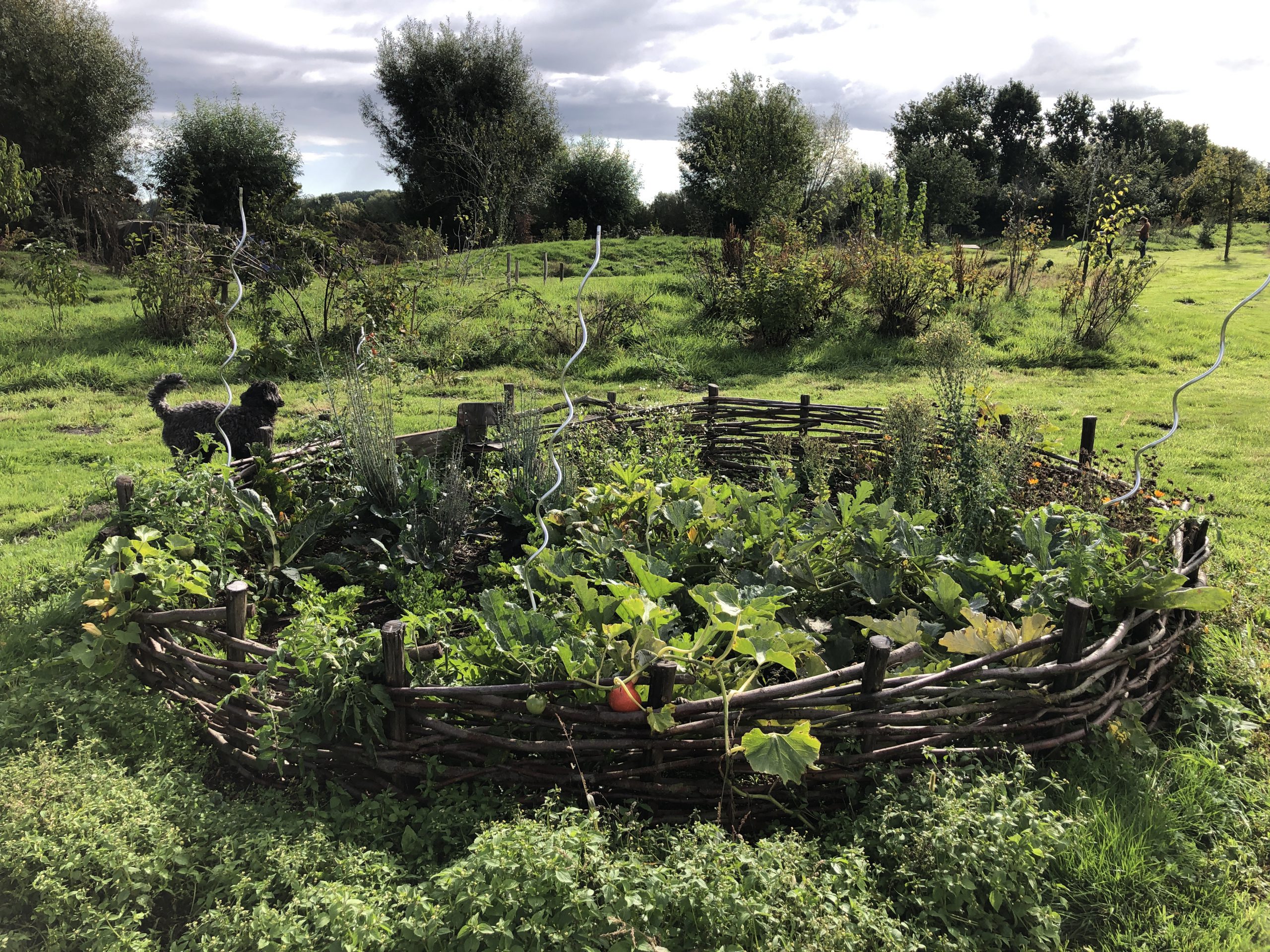 11. Natuurlijke moestuin | Roosen Landscape